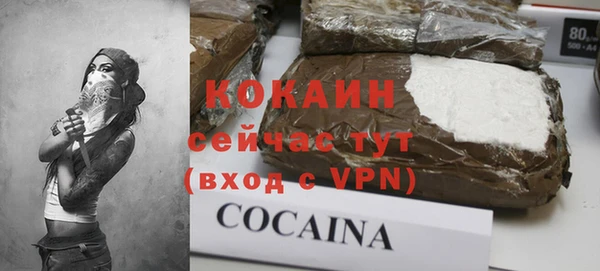 винт Мегион