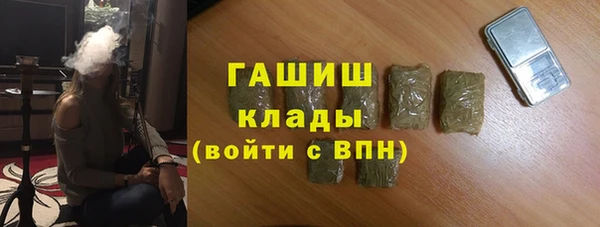 крисы Магас