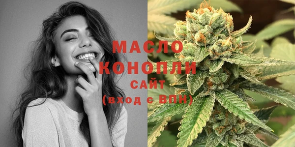 крисы Магас