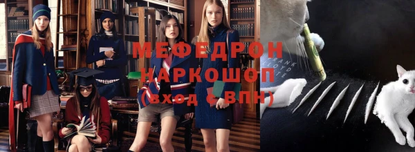 крисы Магас