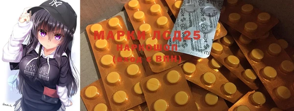 крисы Магас