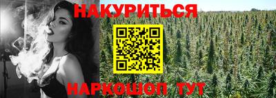 сатива Волжский