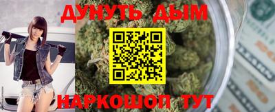 индика Абакан