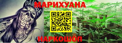 сатива Волжский