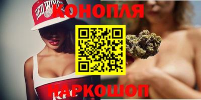индика Абакан