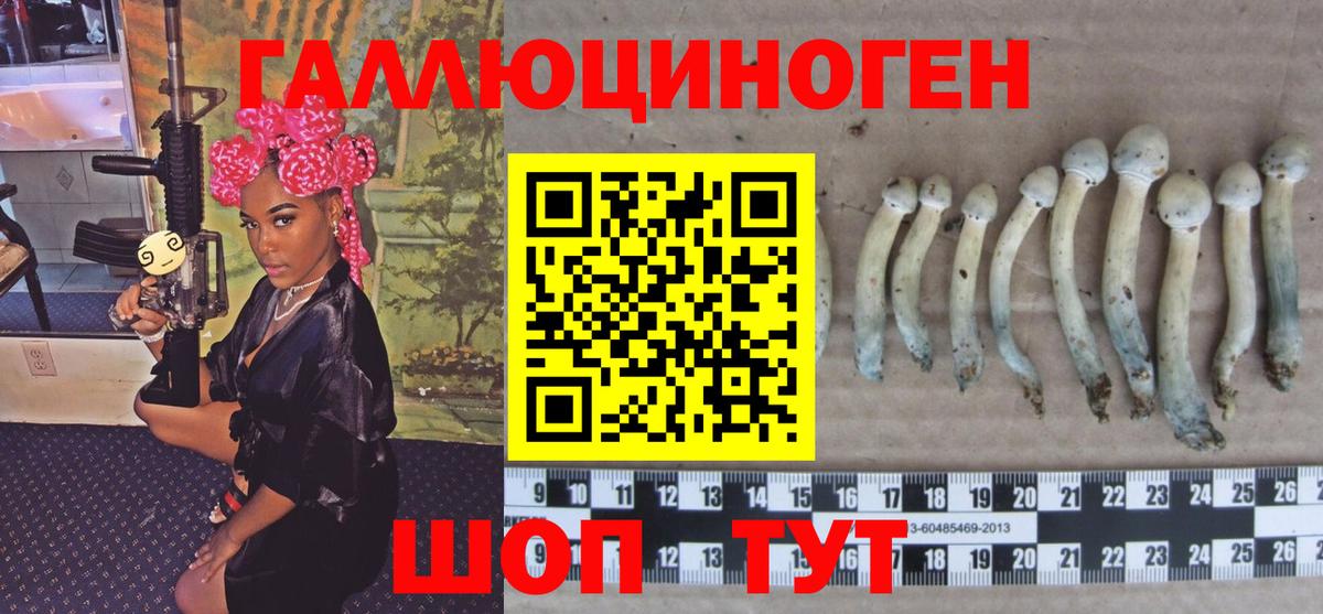 Галлюциногенные грибы MAGIC MUSHROOMS  Новокузнецк 