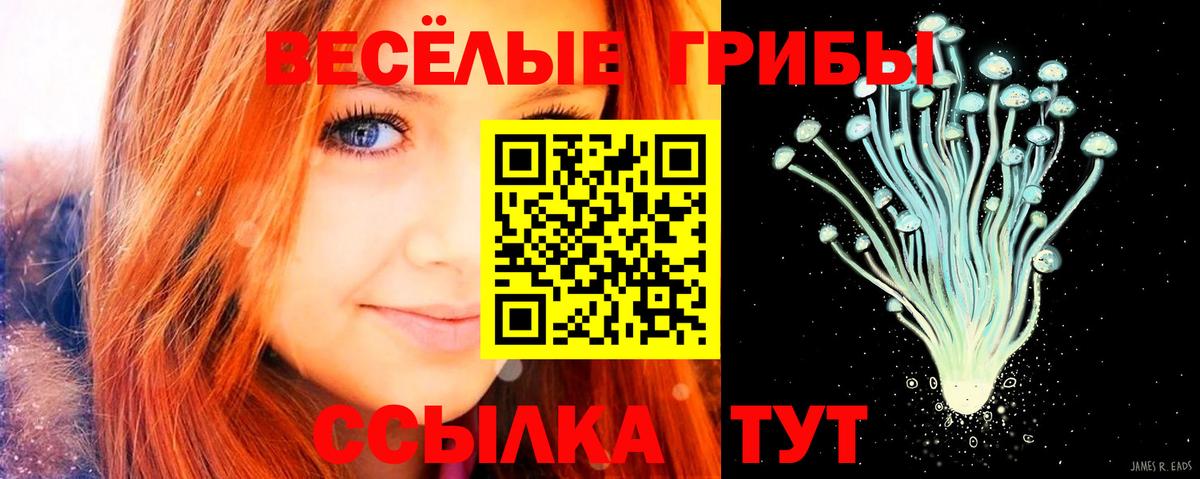 Галлюциногенные грибы ЛСД Новокузнецк