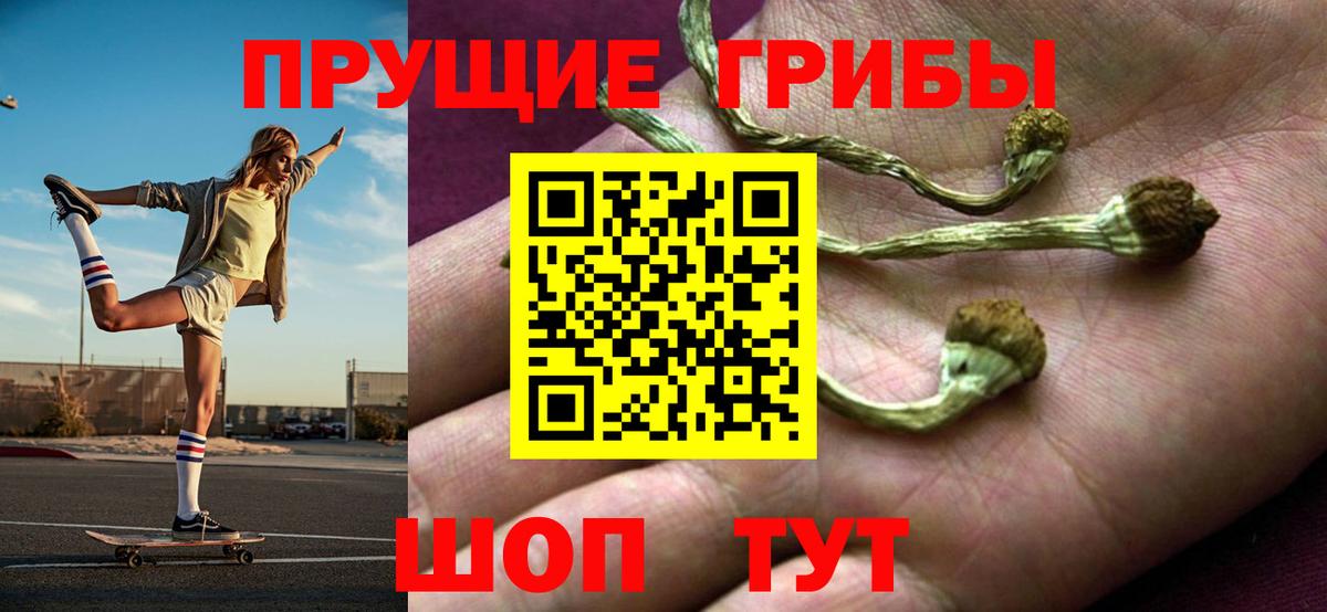 Новокузнецк  Галлюциногенные грибы GOLDEN TEACHER  даркнет сайт  Вход с VPN 