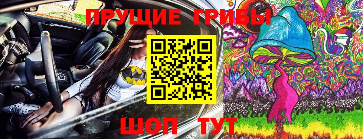 Псилоцибиновые грибы Cubensis Новокузнецк