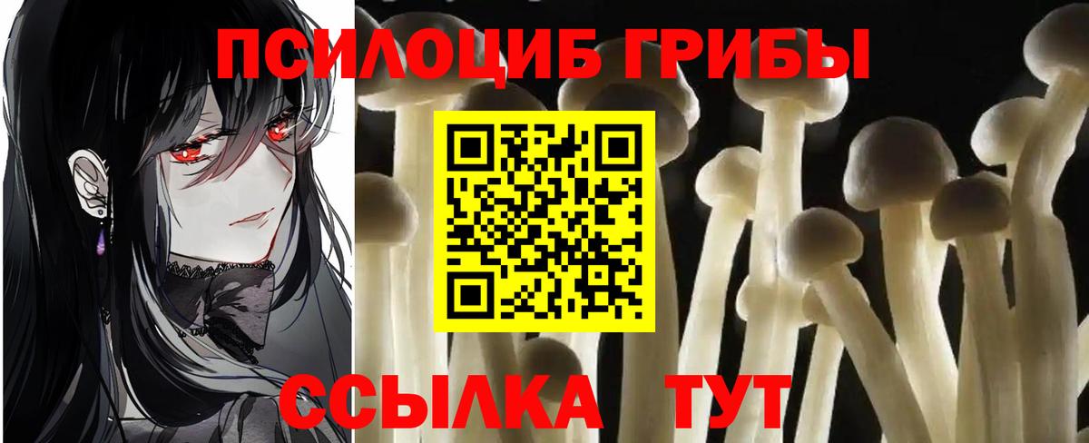 Галлюциногенные грибы MAGIC MUSHROOMS  Вход с VPN  Новокузнецк 