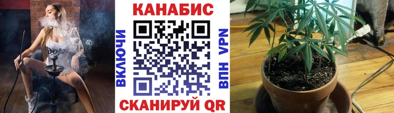 Бошки марихуана MAZAR  мориарти наркотические препараты  Новокузнецк  продажа наркотиков 