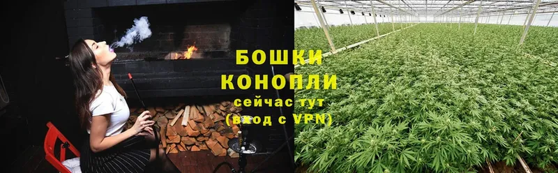 Канабис план  Новокузнецк 