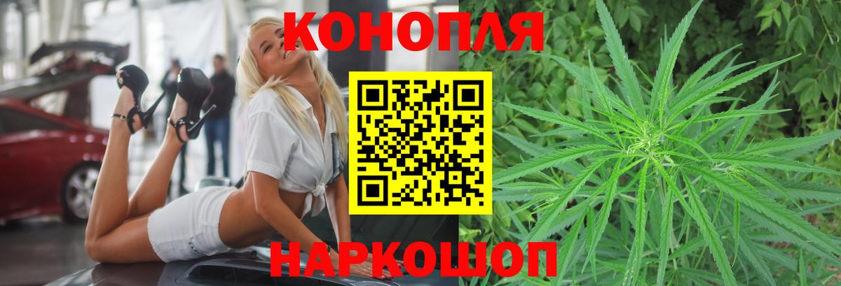 Бошки Шишки SATIVA & INDICA Новокузнецк